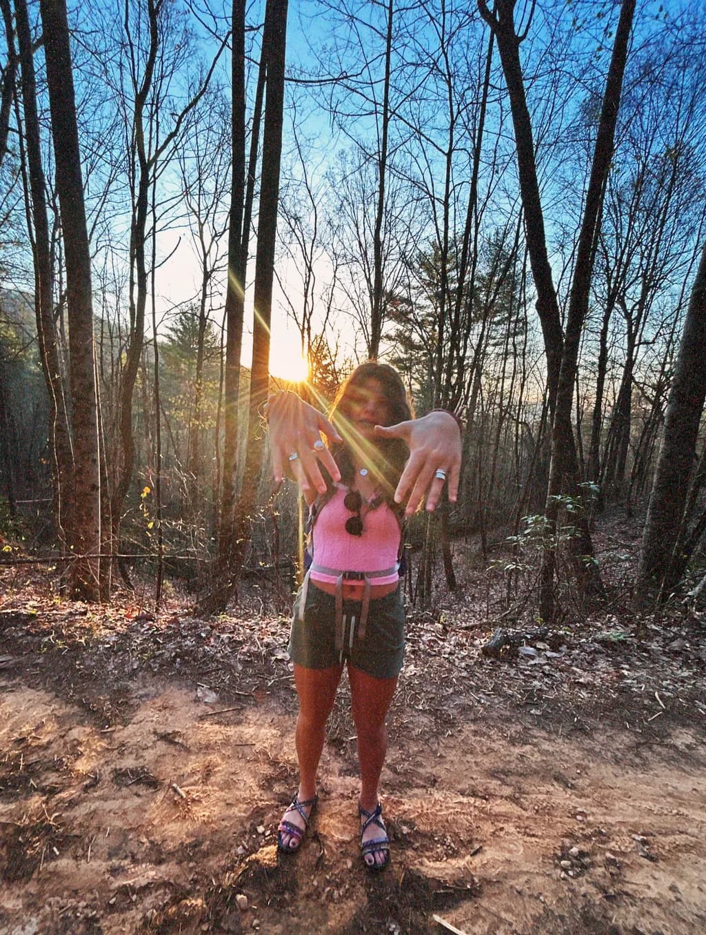 Sunset in the Forest