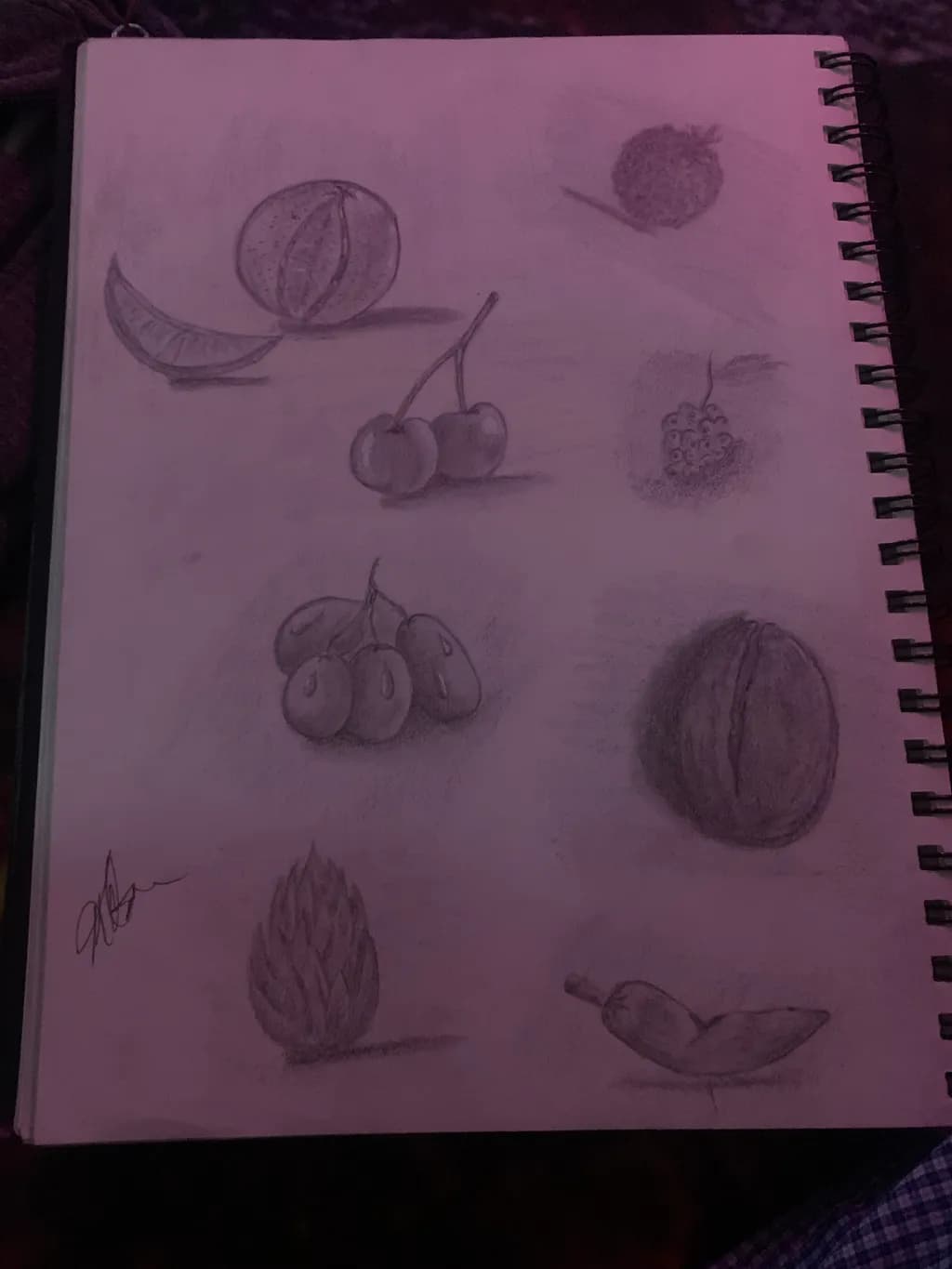 Fruit Study Sketches