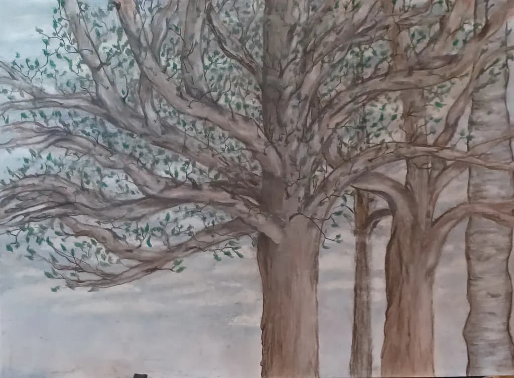 Lonely Trees