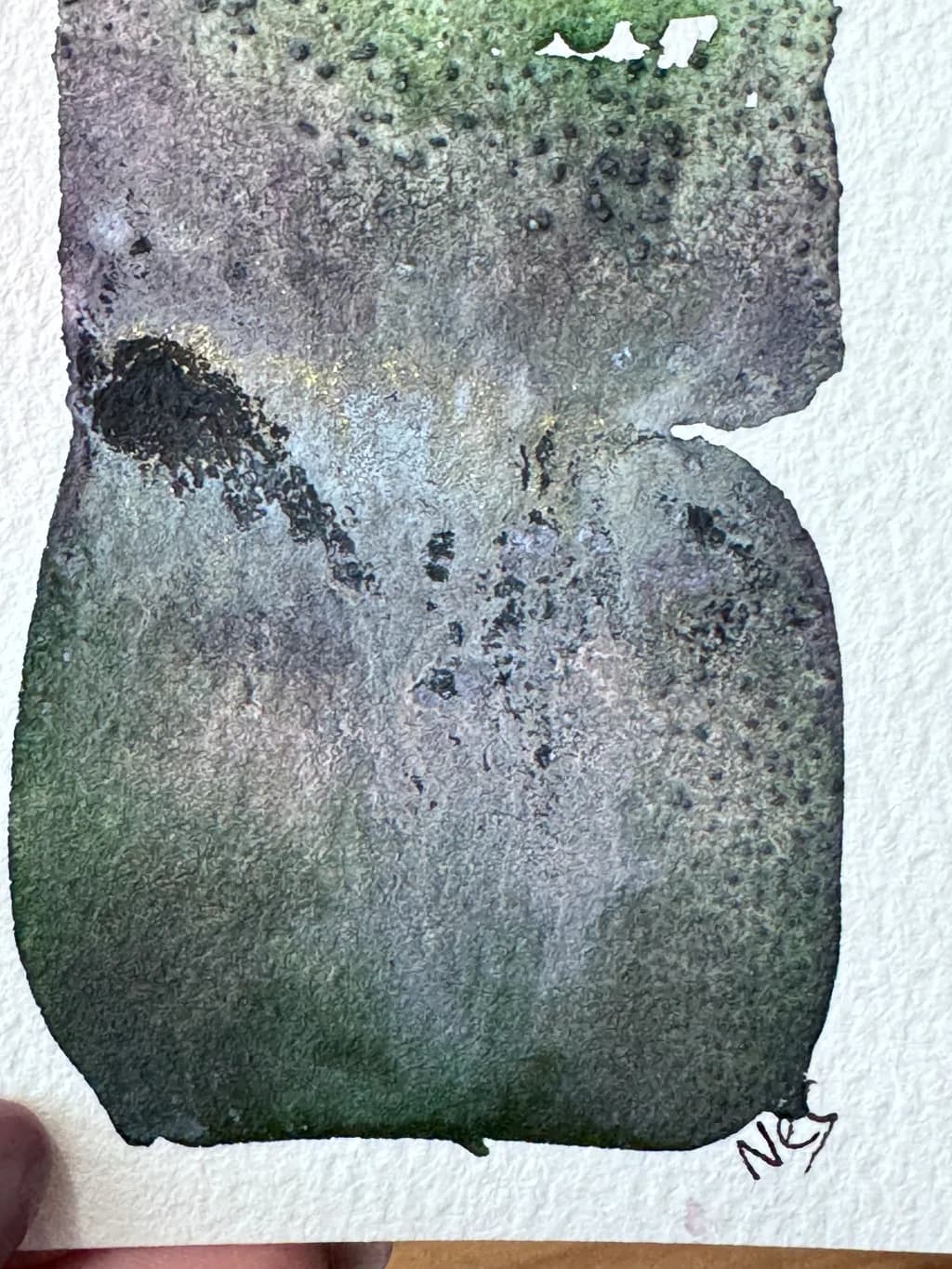 Organic Texture Study