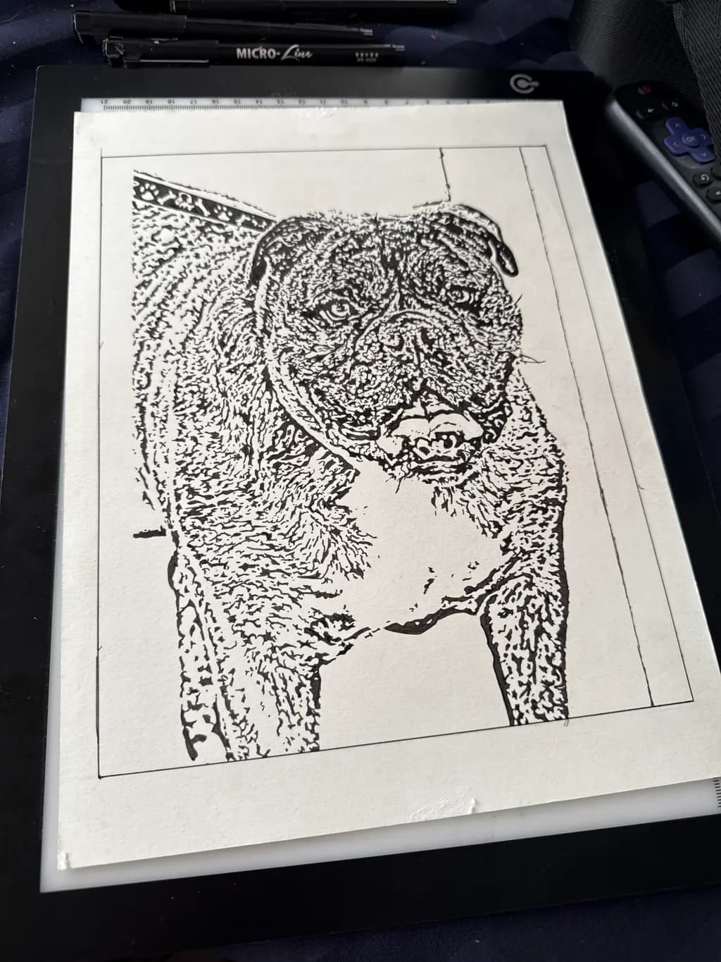Bulldog Sketch