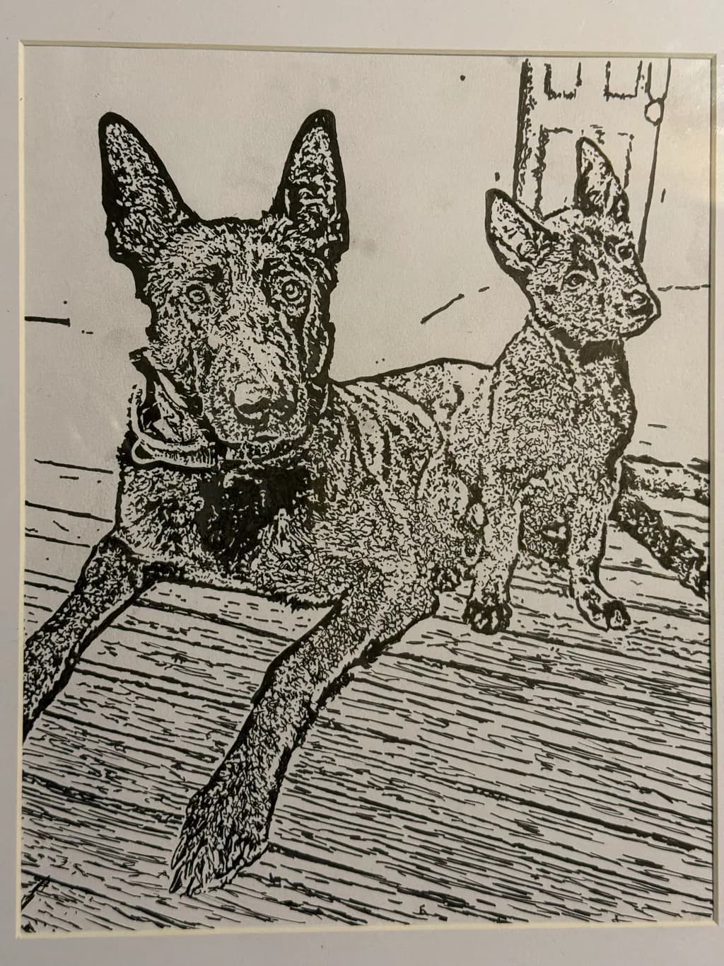 Dog Duo on Deck