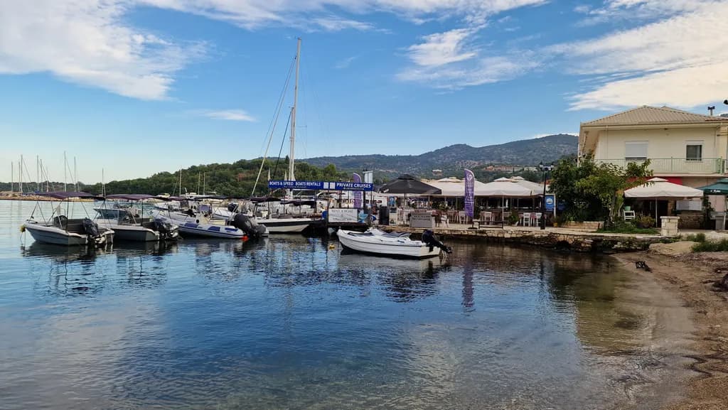 Harbor Boats and Shoreline