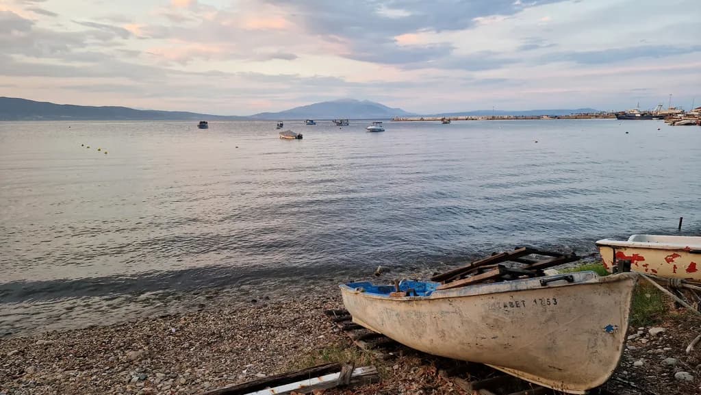 Coastal Boat Shoreline