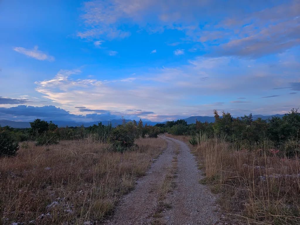 Inbound Pathway