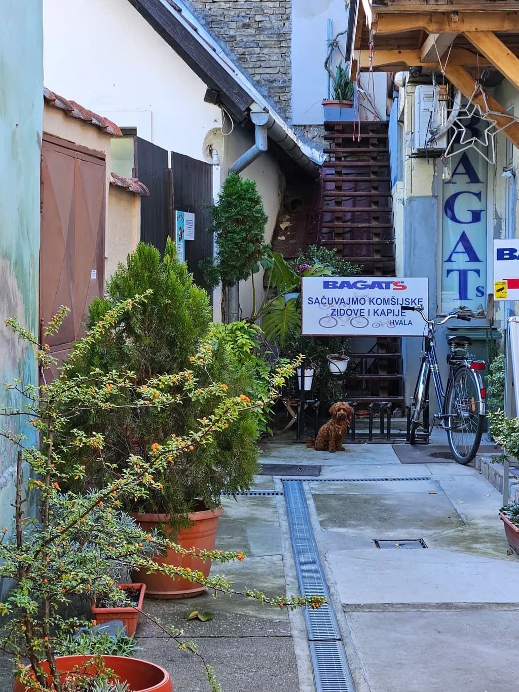 Urban Alley with Bicycle