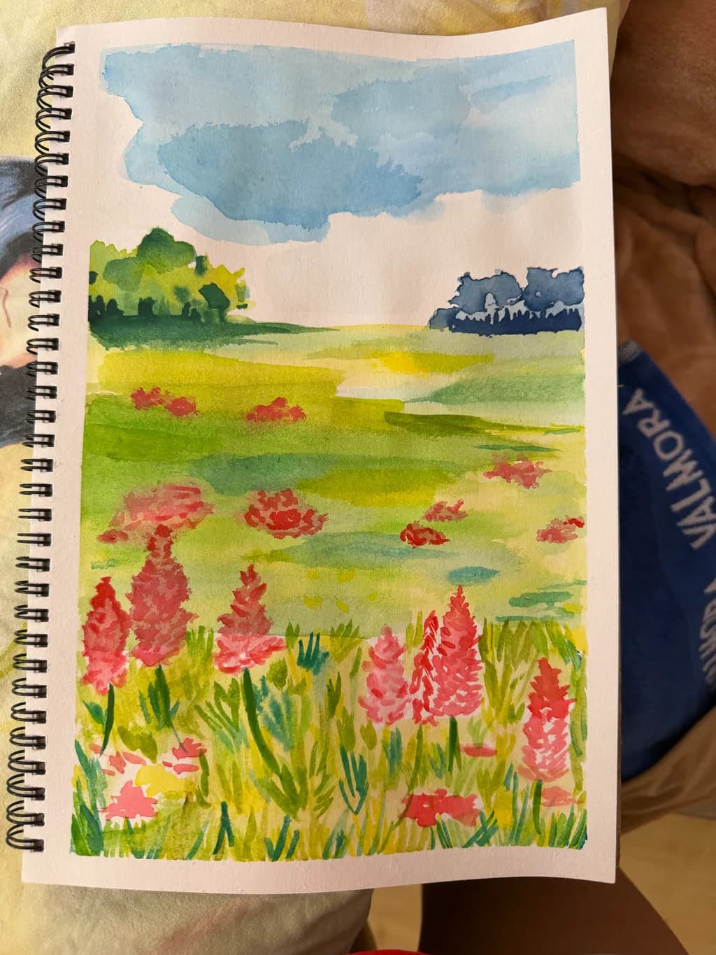 Wildflower Meadow