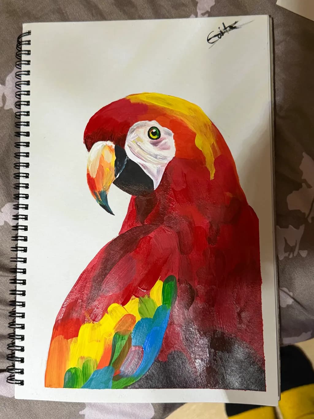 Scarlet Macaw Portrait
