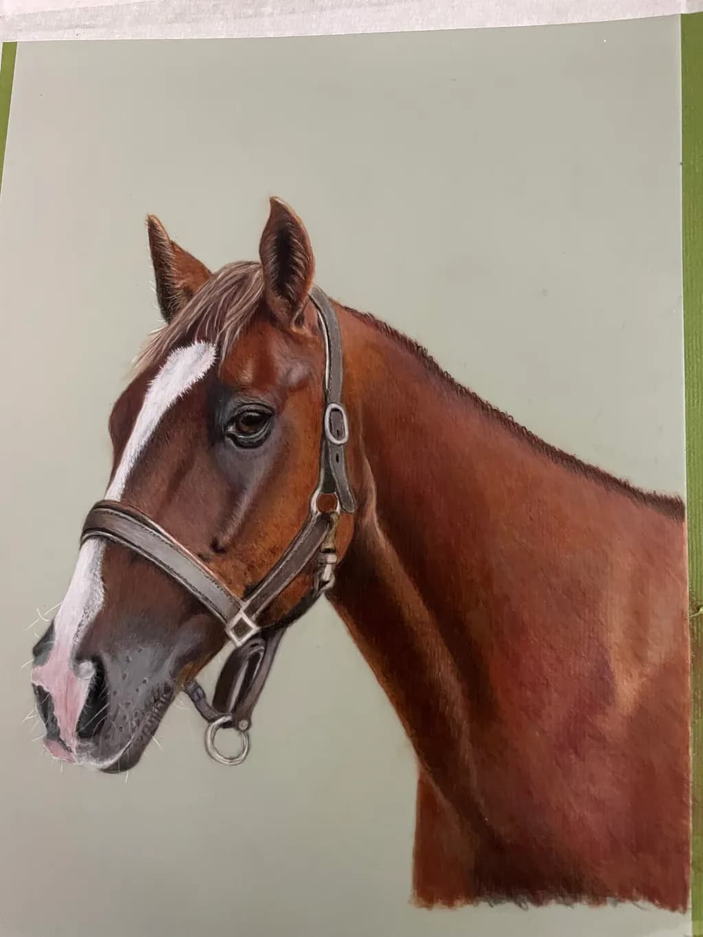Horse Portrait