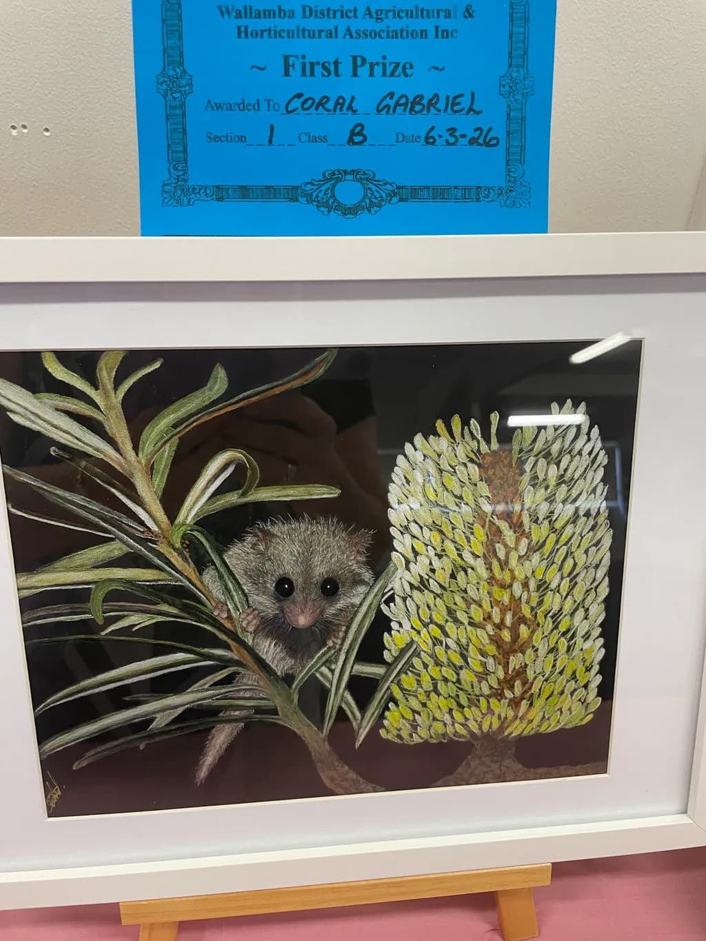 Bush Baby and Banksia