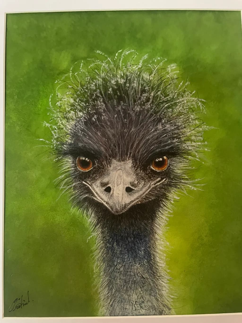 Curious Emu Portrait
