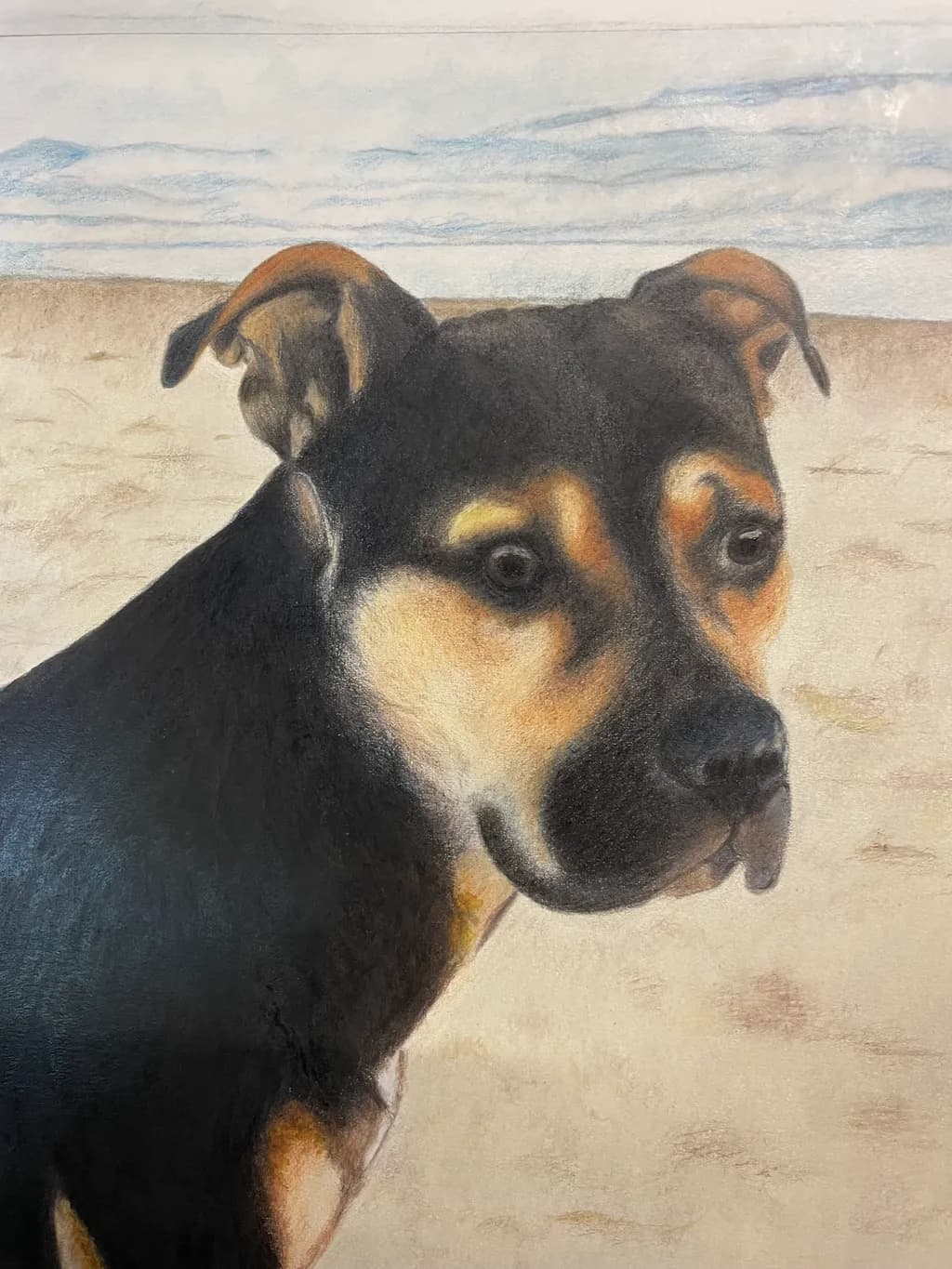 Desert Dog Portrait