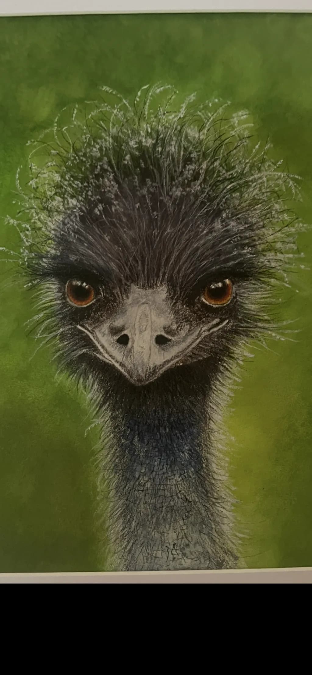 Emu Portrait