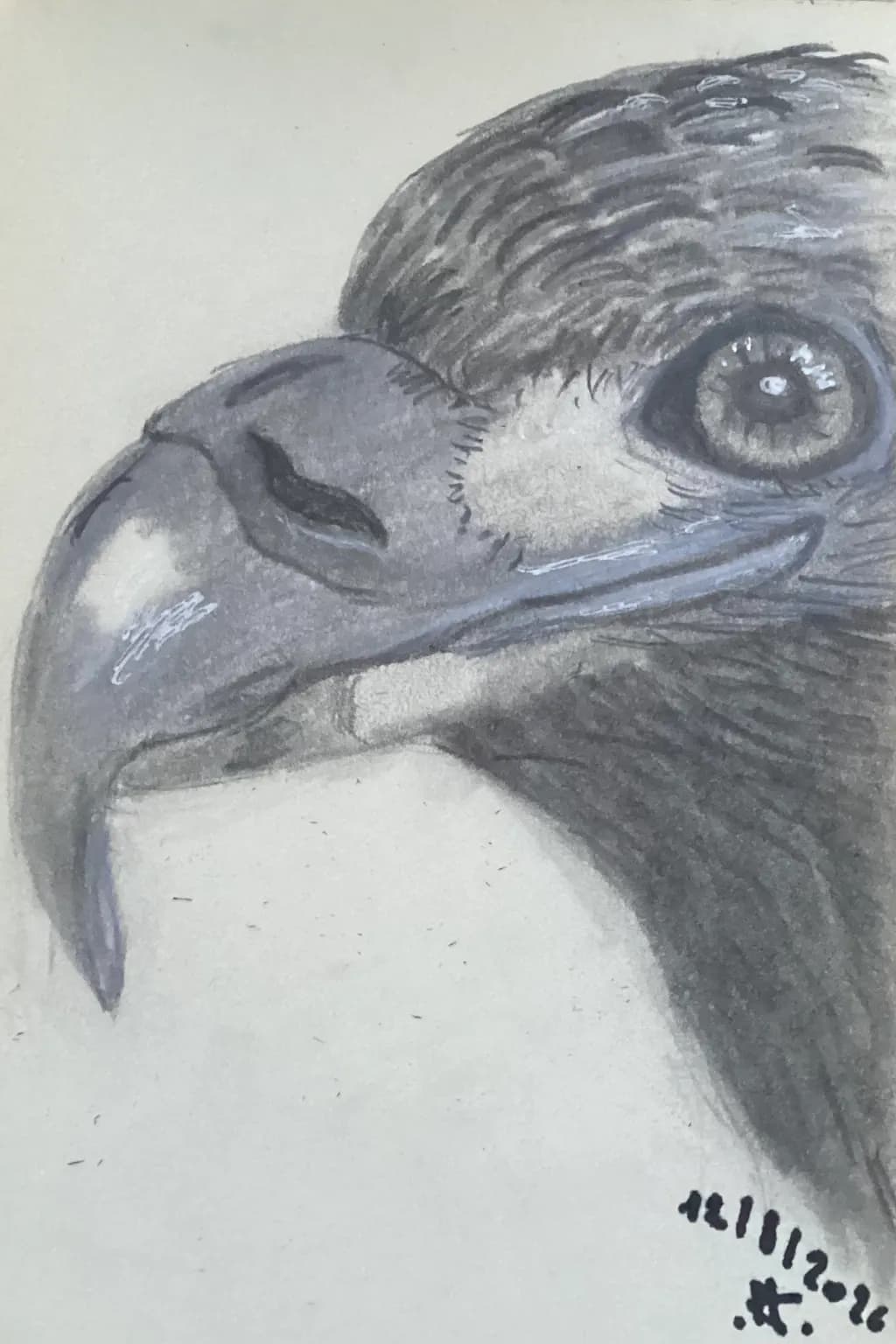 Eagle Profile