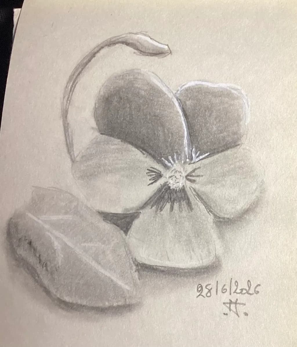 Pansy and Leaf Sketch