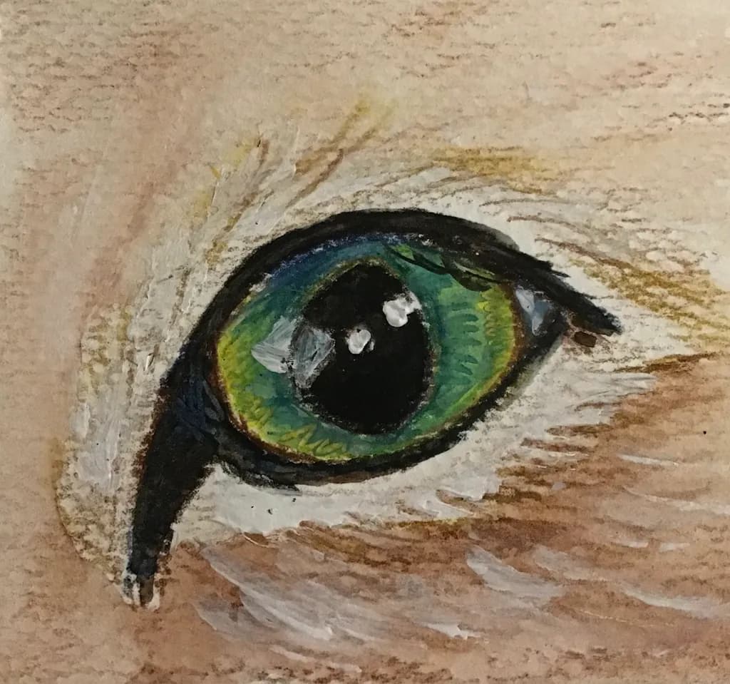 Green Eye Closeup