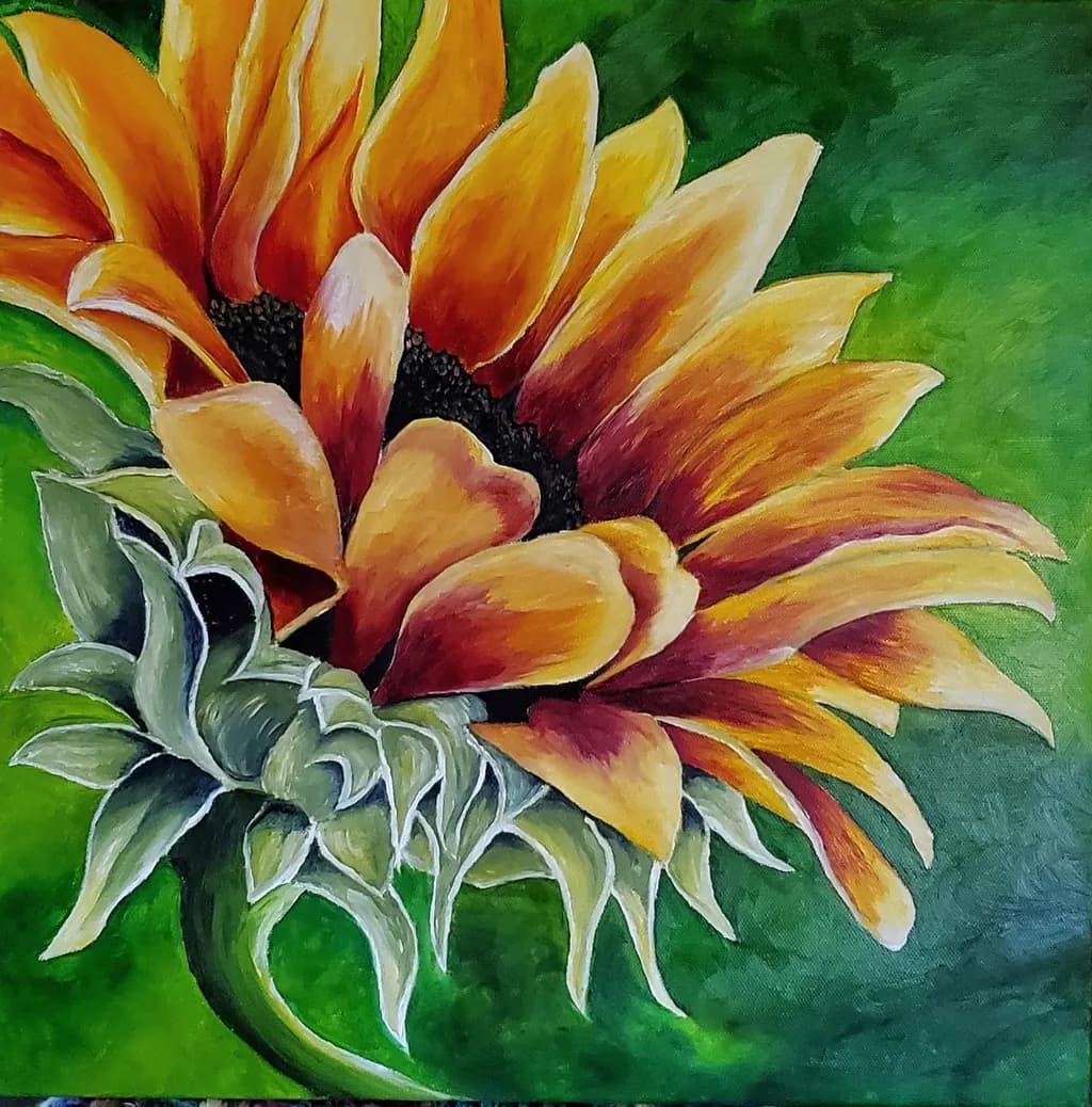 Sunflower Bloom