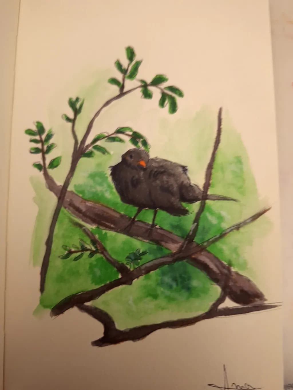 Bird on Branch
