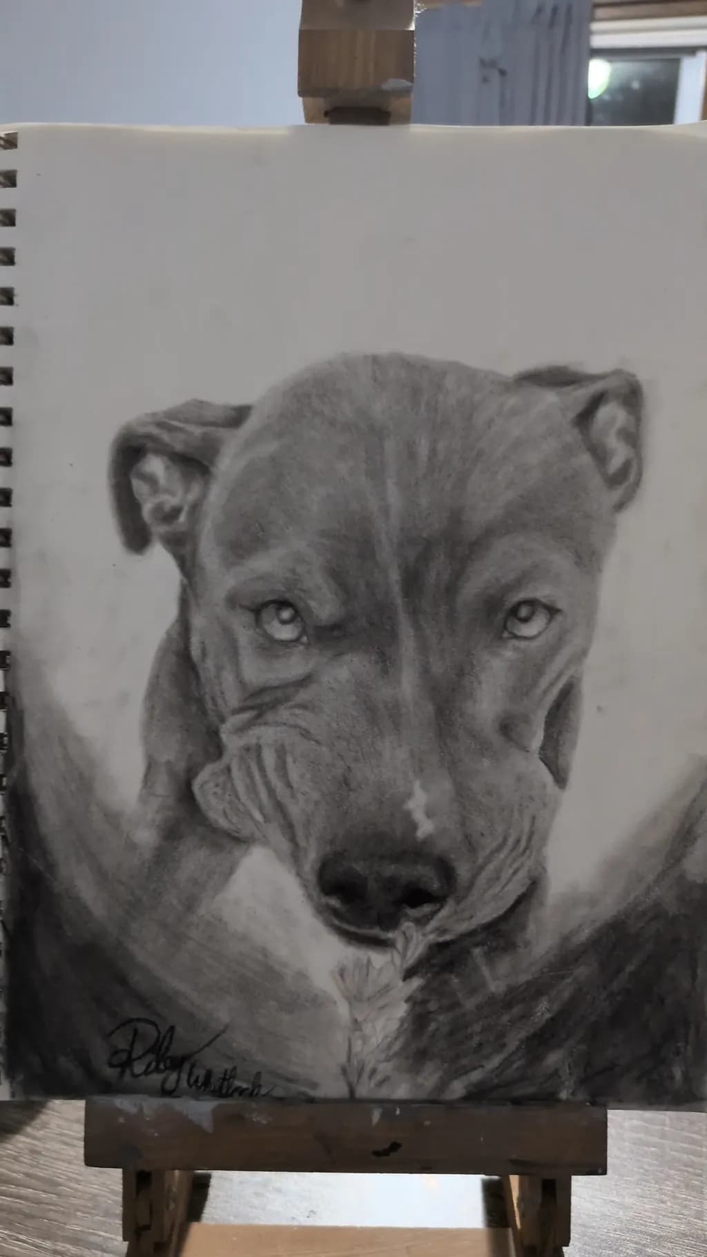 Dog Portrait