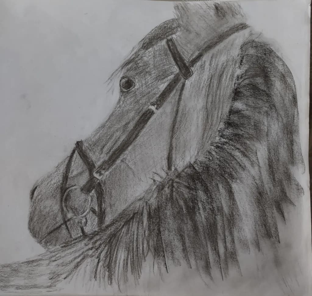 Horse Portrait Sketch