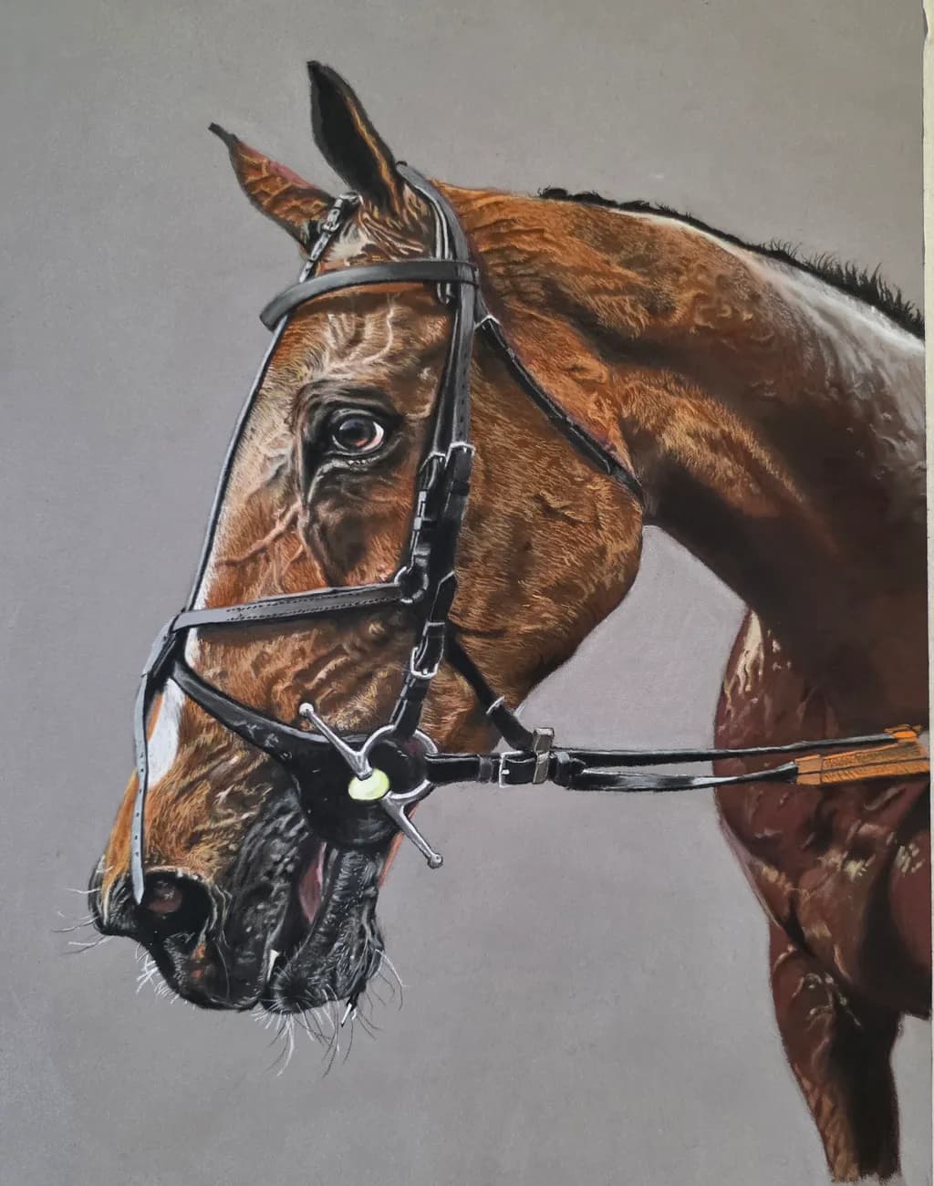 Bridled Mule