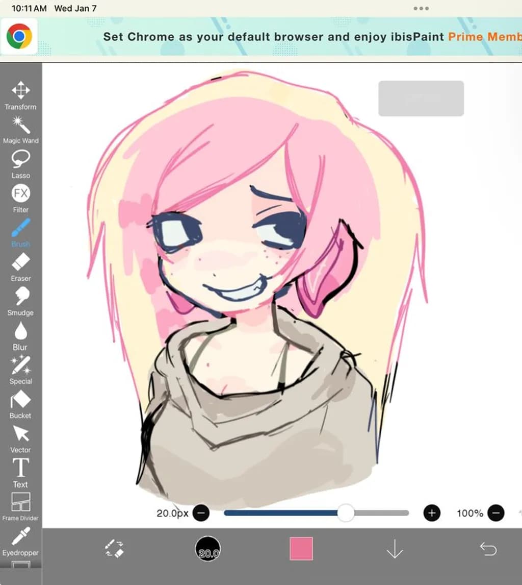 Pink Haired Girl