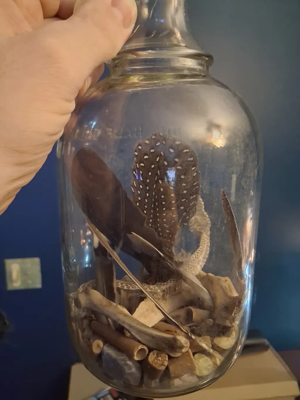 Bottle Collection