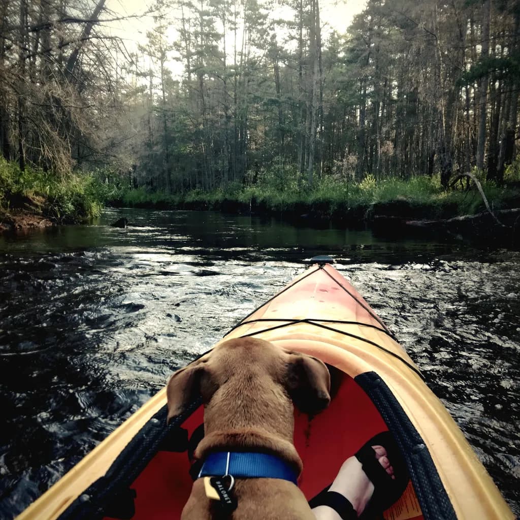 Kayak River Journey