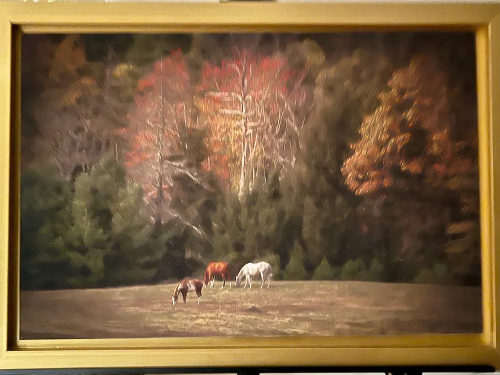 Autumn Horses Meadow