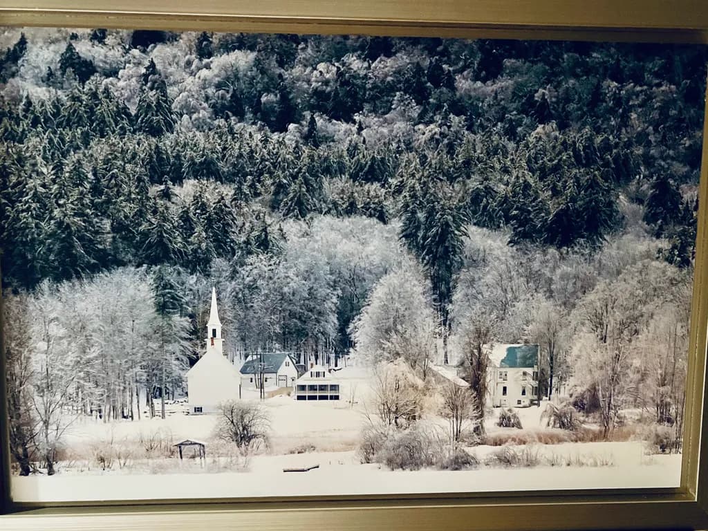 Snowy Forest Village