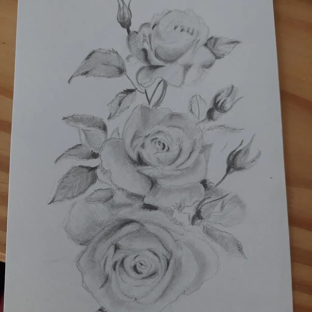 Rose Study