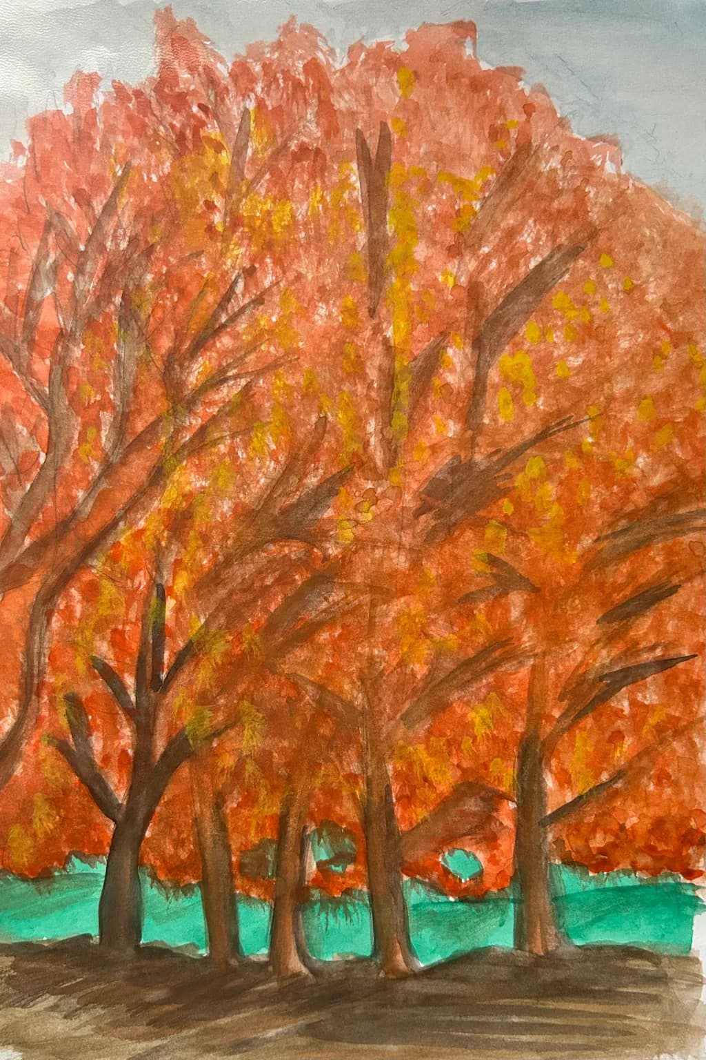 Autumn Forest Canopy