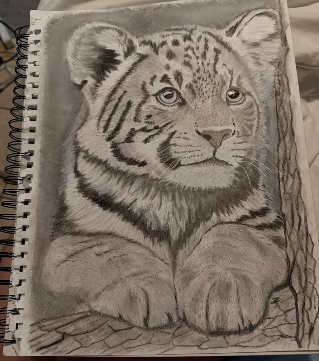 Tiger Cub Resting