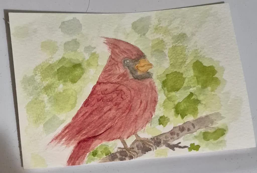 Look at the birds of the air