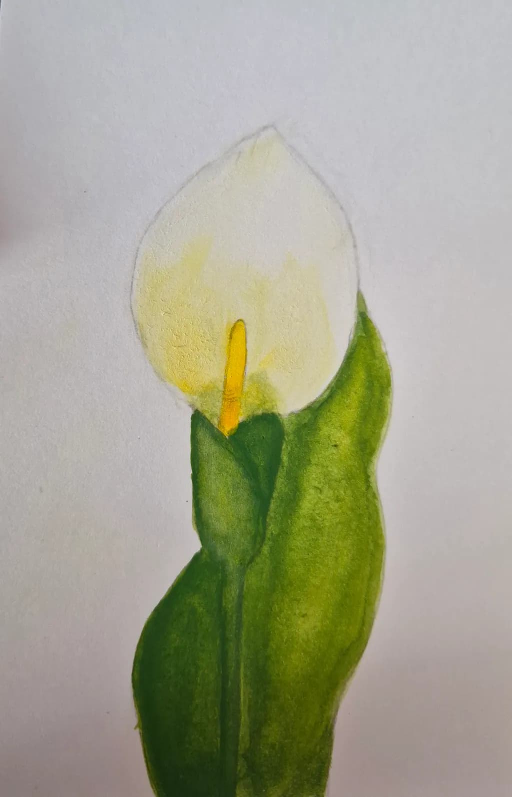 Consider the Lilies of the field