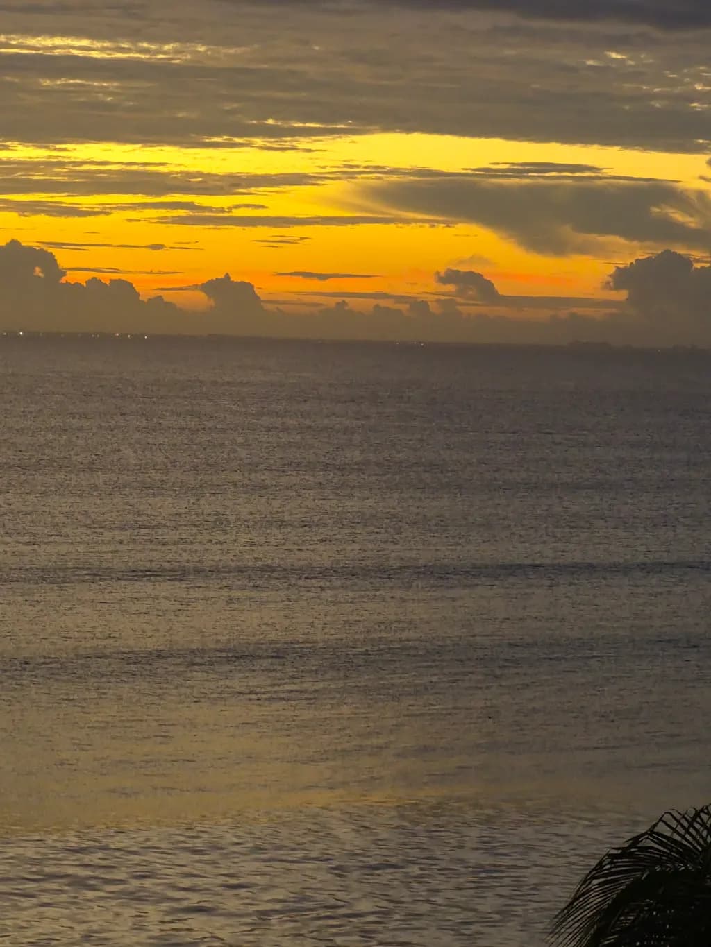 Golden Seascape Sunset