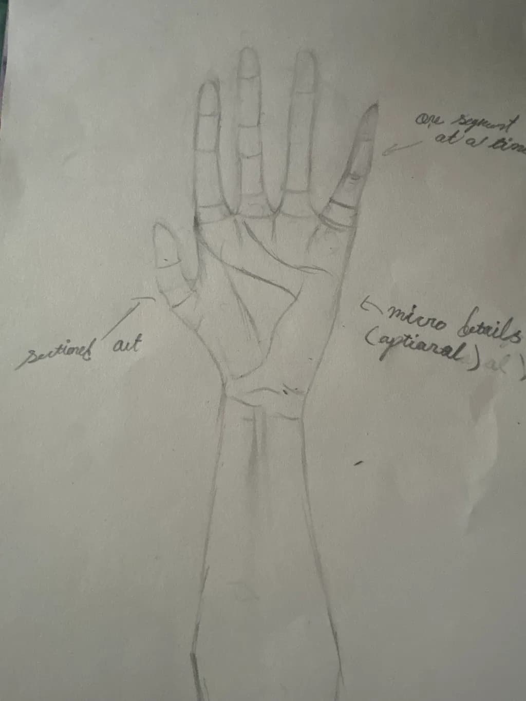 Hand Anatomy Sketch
