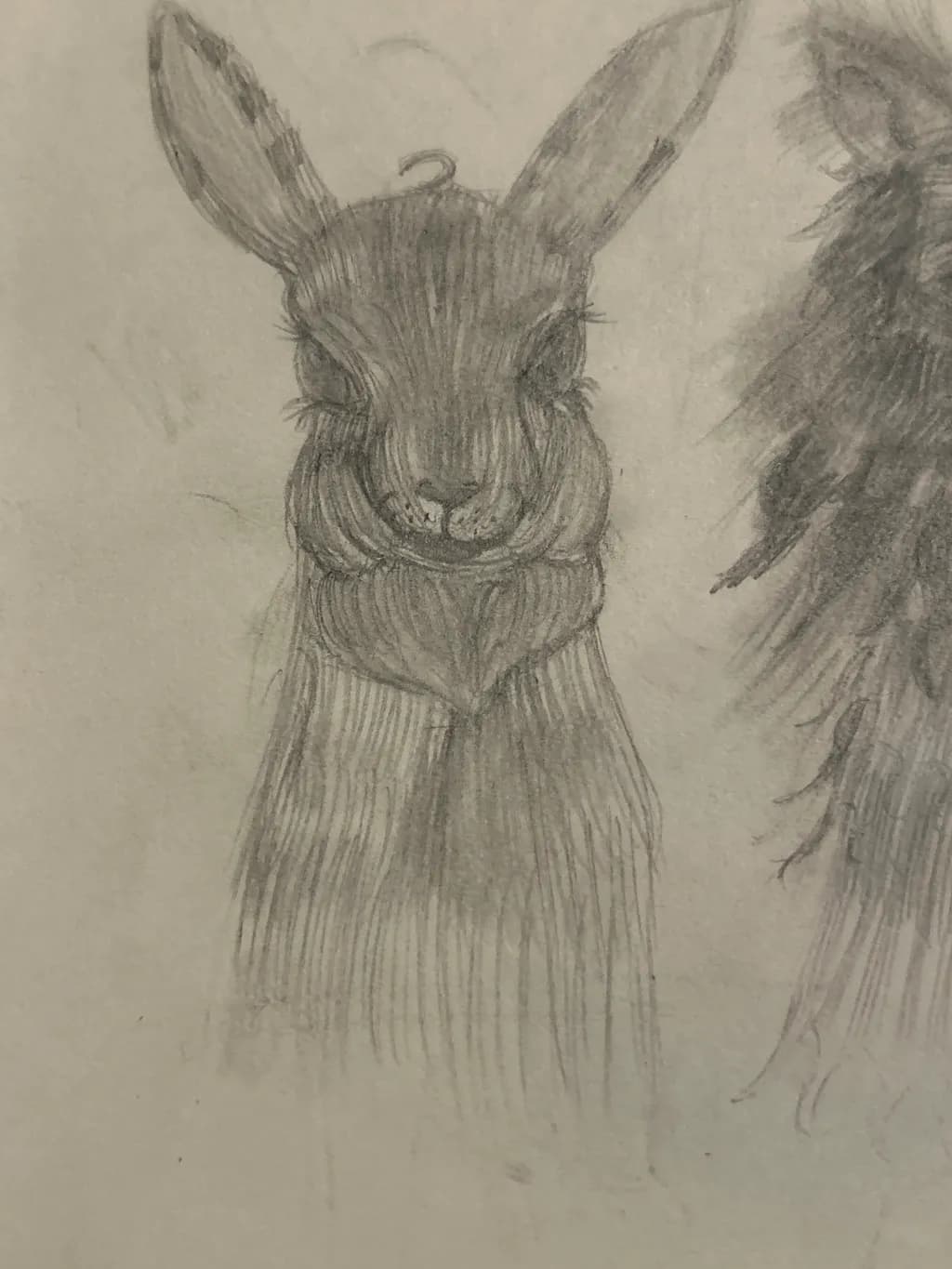 Pensive Rabbit Portrait