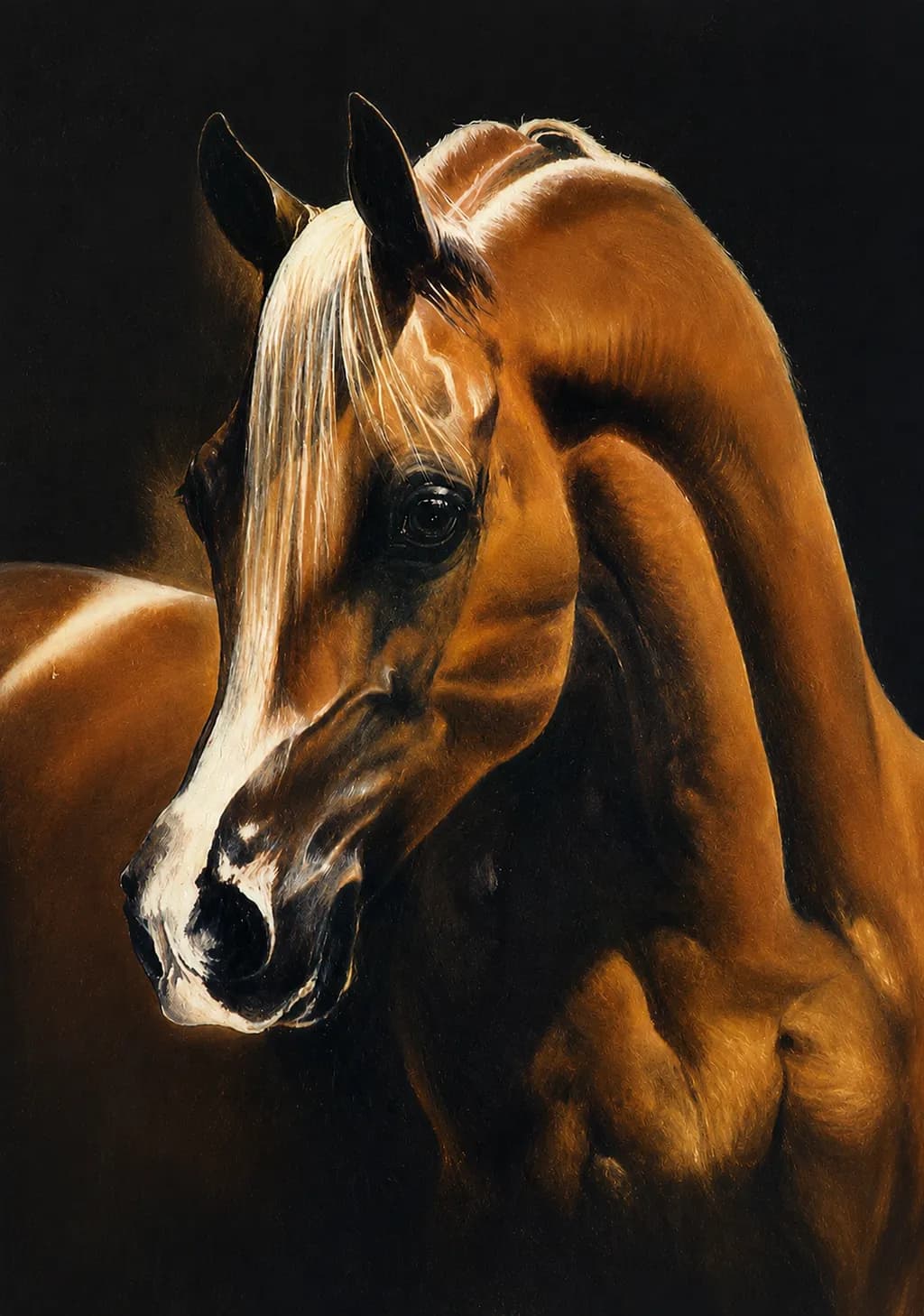 Inbound Horse Portrait