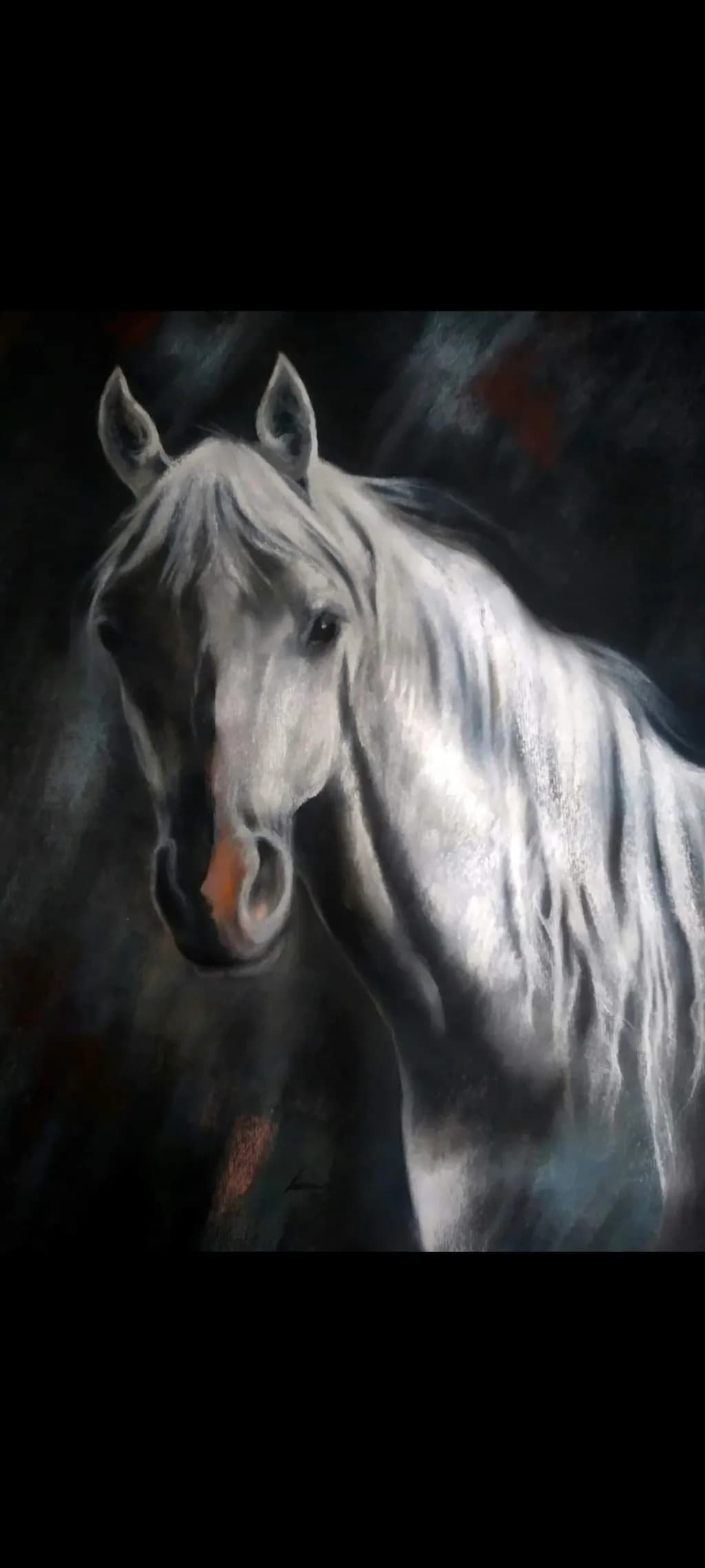 White Horse Portrait