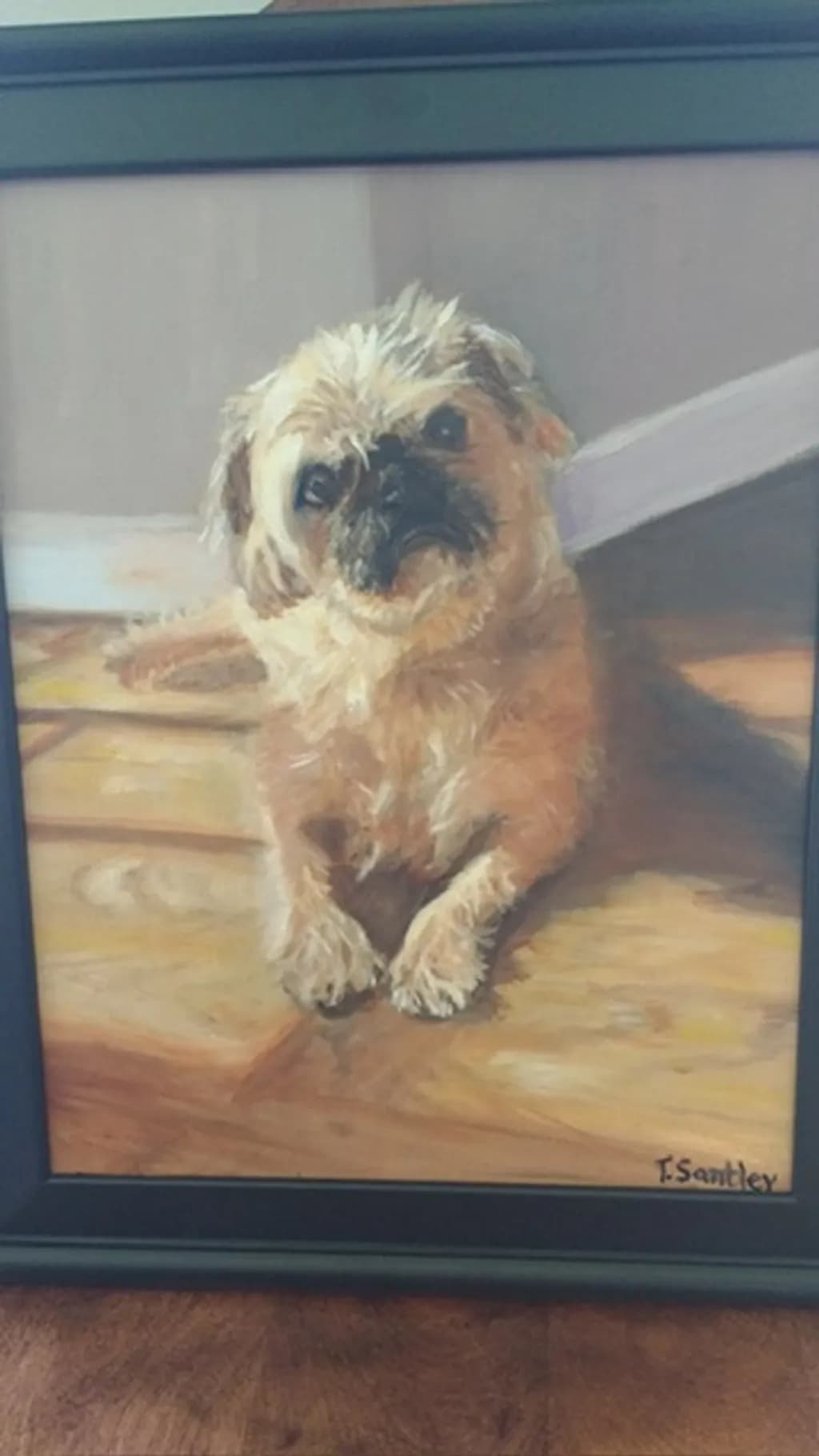 Thoughtful Shaggy Dog