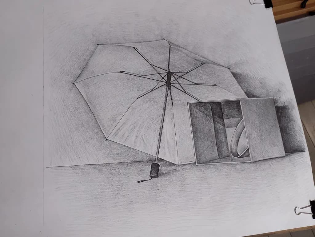 Umbrella and Box Study