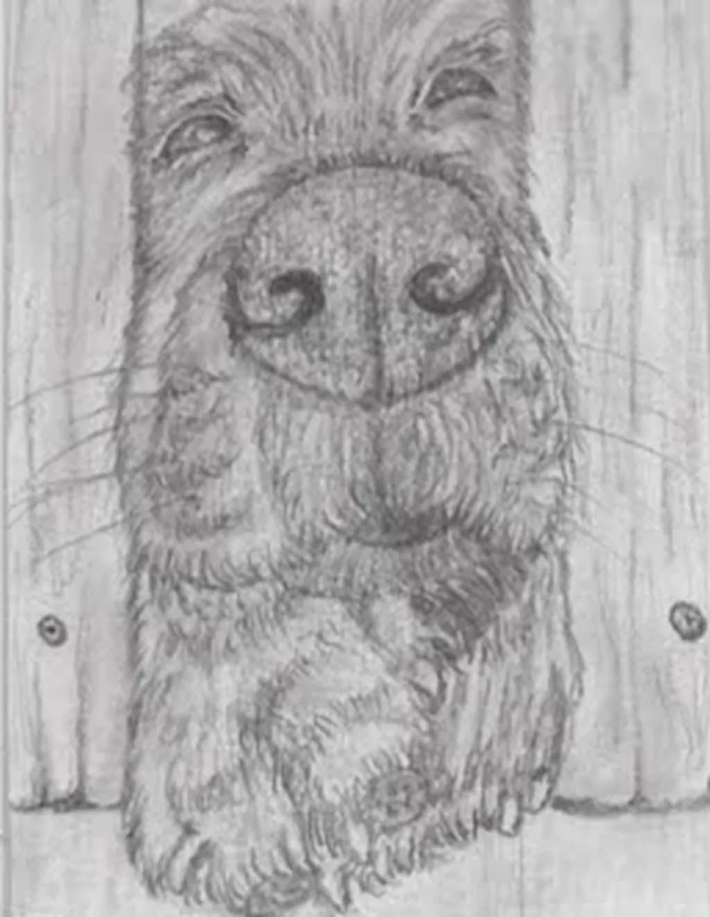 Dog Portrait