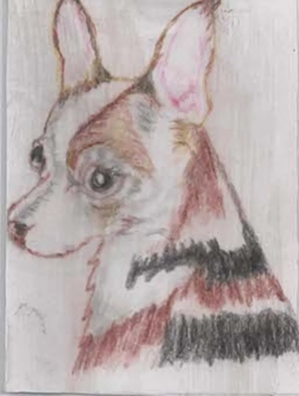 Thoughtful Dog Portrait
