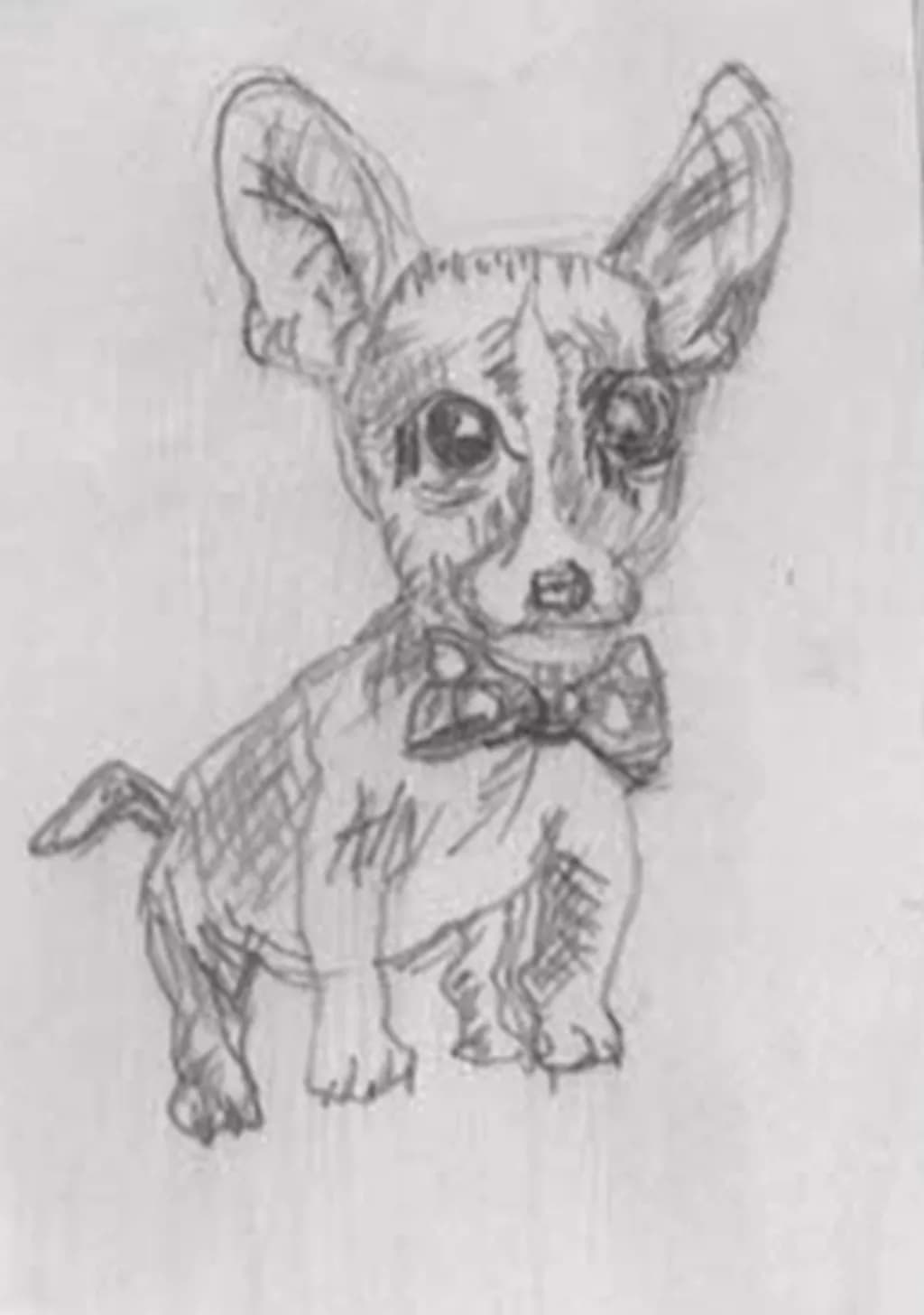 Dog Sketch with Bowtie