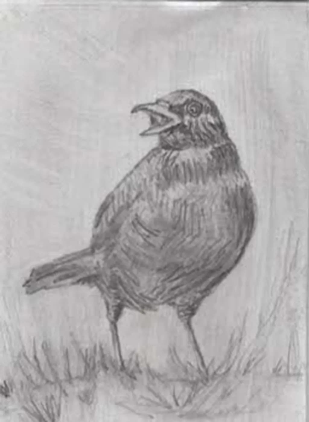 Calling Crow
