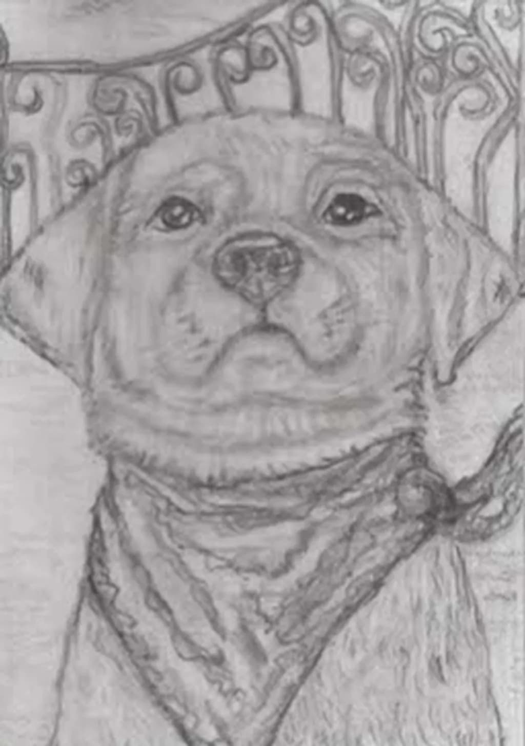 Dog Portrait
