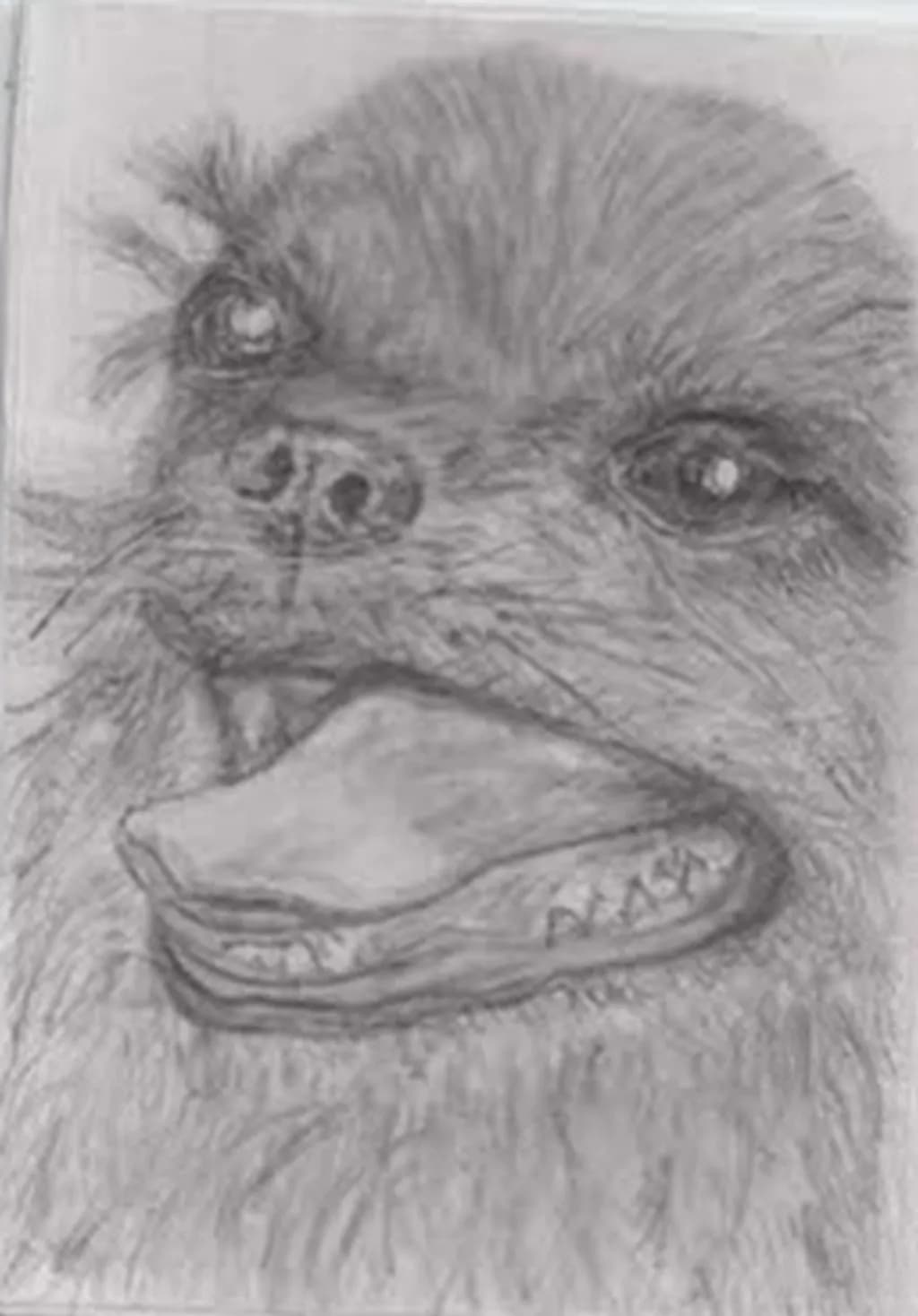 Dog Portrait
