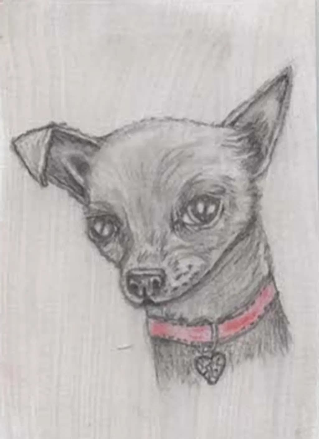 Gentle Dog Portrait