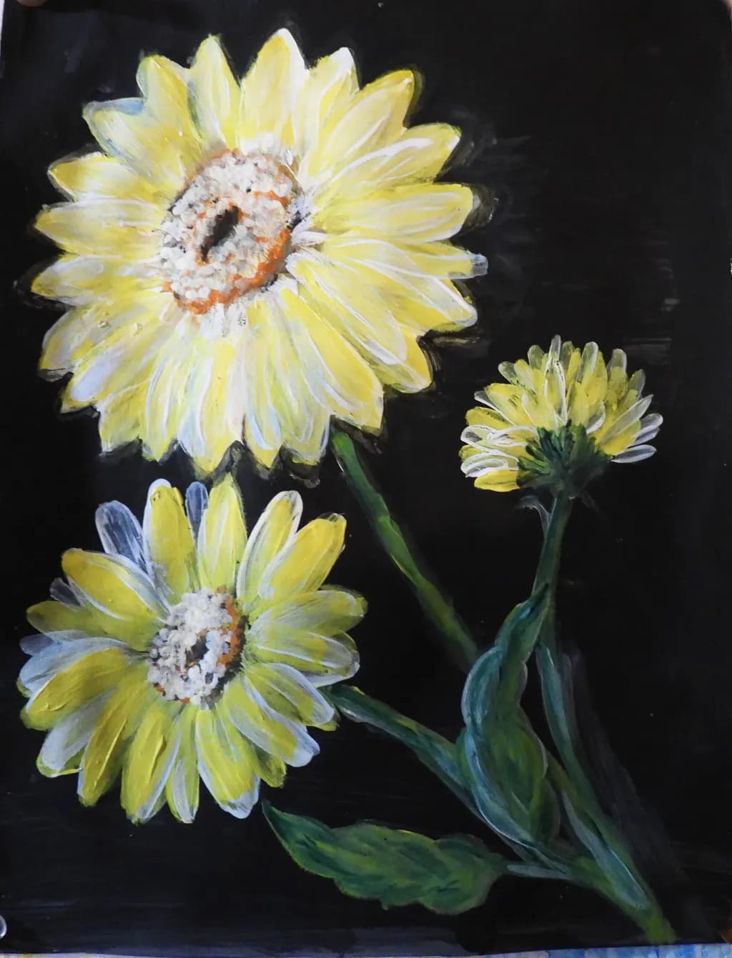 Yellow Daisy Trio